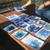 Cyanotype