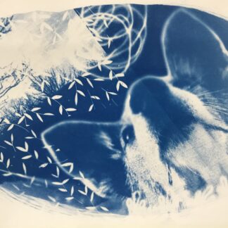 Cyanotype