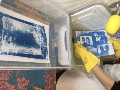 Cyanotype