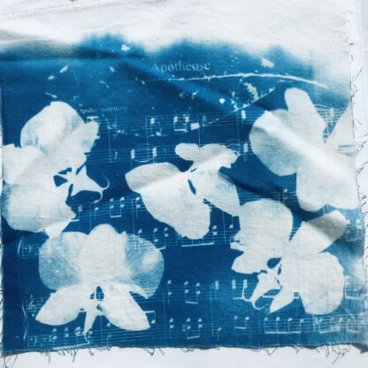 Cyanotype op textiel - Afbeelding 11