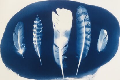 Cyanotype Moederdag Workshop - Afbeelding 2