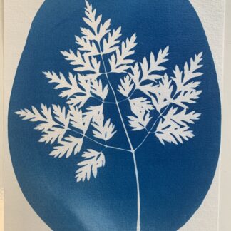 Cyanotype Moederdag Workshop