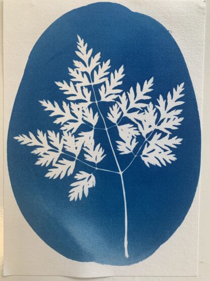 Cyanotype Moederdag Workshop