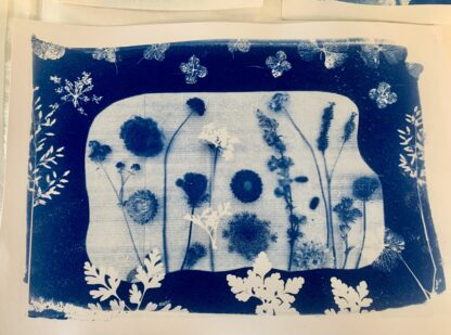 Cyanotype Moederdag Workshop - Afbeelding 3